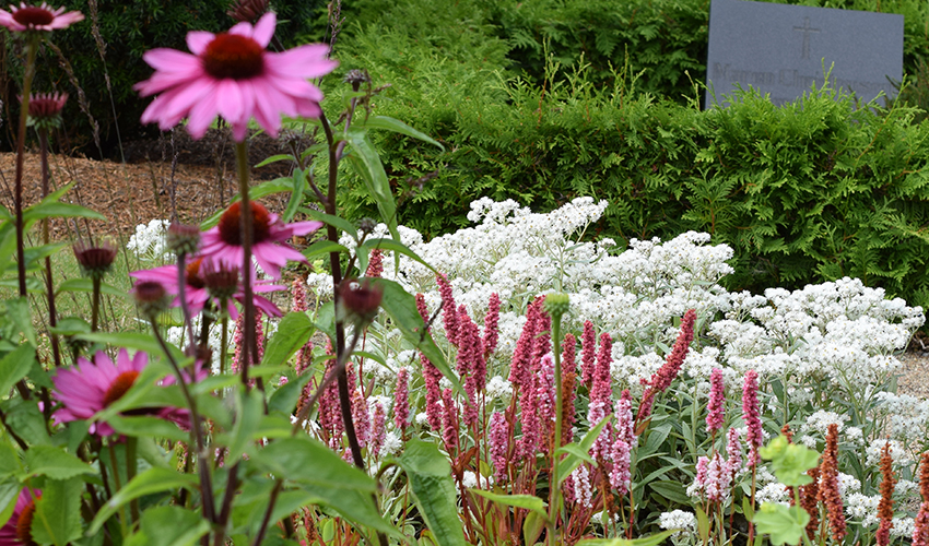 Et andet billede, af et af vores mange staudebede der blomstrer om sommeren